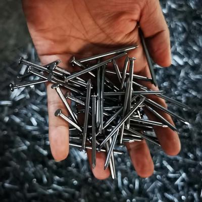 China China flat factory common nails with good price for sale