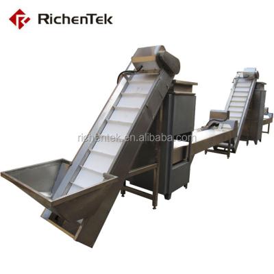 China Food Spice Factory Richentek Garlic Processing Line Include Garlic Separating Peeling Machine for sale