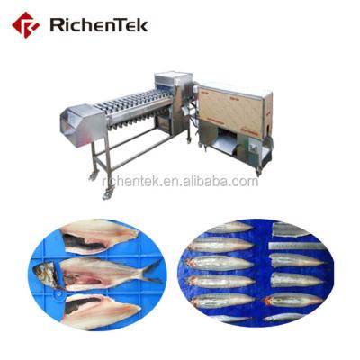 China Complete Restaurant Fish Headband Production Line For Sale for sale