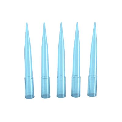 China Paste Work Wholesale PE Spout Multifunctional Dispensing Blue Plastic Needle for sale