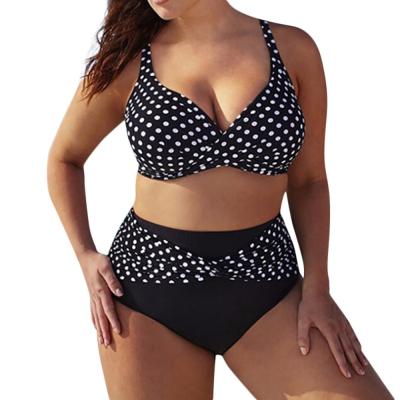 China Casual Beach Wear 2021 Plus Size Women Swimwear Dots Bikini Sets Two Piece Swimwear Beachwear Breathable Swimsuit Suit for sale