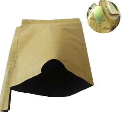 China High Opacity Mango Paper Bag Fruit Growing Paper Bag for sale