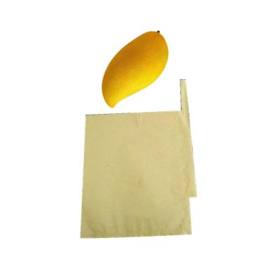 China Agriculture Fresh Fruit Cover Bag Mango Kraft Protective Growing Paper Bag for sale