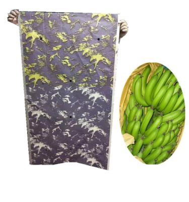 China Banana Growing Bag Waterproof Banana Cover Fruit Protection Growing Bag for sale