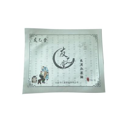 China Joint Pain Reusable Medical Cold Patch Chinese Herbal Medicine Rehabilitation Treatment Supplies for sale