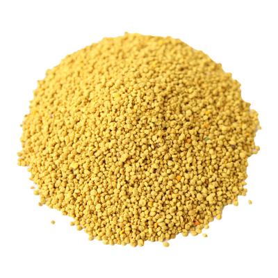 China Yellow Bee Pollen Powder Ekstrak Pure Protein Rape Bee Pollen Powder Mill Extract for sale