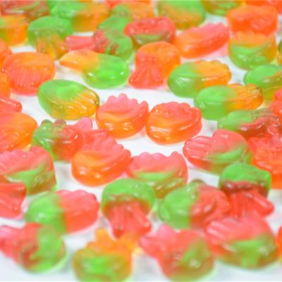 China Factory Normal Custom Gummies Bulk Soft Chewy Sweet Fruit Juice Vitamin C And Custom Cute Shape Gummy Candy Bulk E Candy Gummy for sale