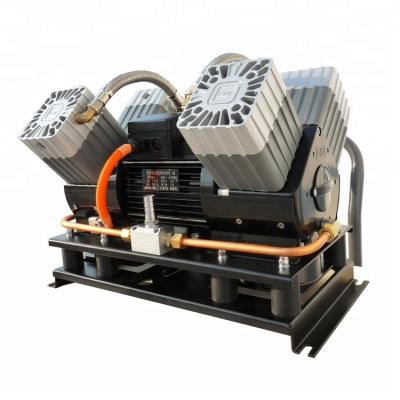 China Piston Air Compressor Oil Free Oil Free Rocking Head High Pressure Vacuum Pump for sale