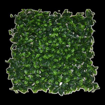 China Plant 2022 Plant Decoration Outdoor Fake Hedge 50*50cm Jungle Vertical Hanging Green Artificial Grass Wall for sale