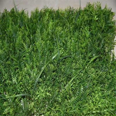 China 40*60cm Plant Artificial Plastic Grass Wall Panels UV Protection Plant Artificial Green Wall for sale