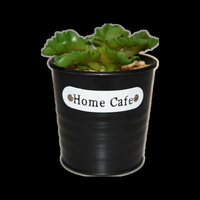 China Best Selling Artificial Succulent Green Potted Plants Garden Decoration Plant Amazon Amazon for sale