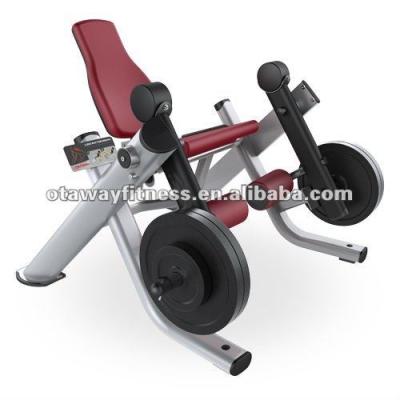 China Gym Equipment Life Fitness Leg Extension (FW5-008) FW5-008 for sale