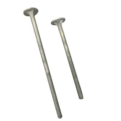 China Stainless Steel Supplier Timber Bolt A307 Carbon Steel for sale