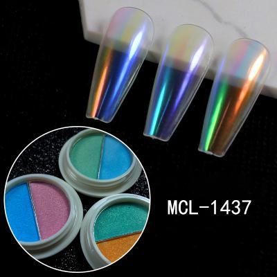 China Hot Selling Fingernail Decoration Nail Art Supplies Salon Powder Nail Powder Colors For Girls for sale