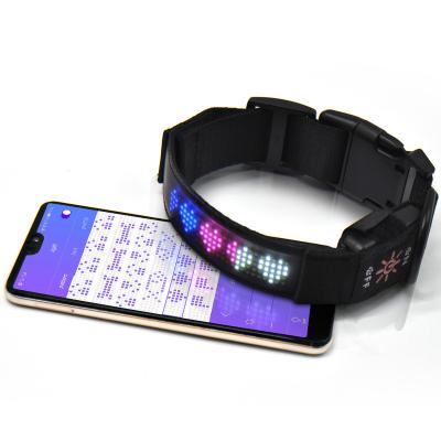 China Lights Led Pet Collar App Wireless Connect Screen Colorful Usb Charging Programmable Led Collar Dog Harness for sale