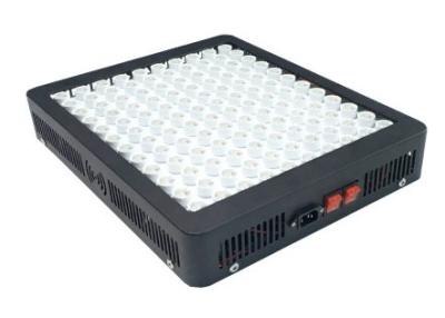 China 600 Watt Plant Grow Lights Easy Installation Multipurpose For Indoor Cultivation for sale