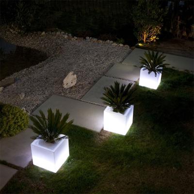 China Modern LED flower pot, LED planter pot for garden for sale