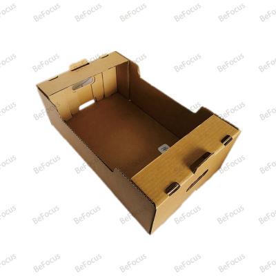 China Recycled Materials best price high quality custom kraft curragated cardboard fresh dry fruits paper gift packaging boxes paper for sale