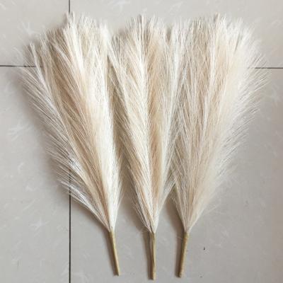 China Other Pampas Grass Simulation Reed Pampas Grass Decoration Amazon Spot 7 Fork 45cm Artificial Nordic Wedding for sale