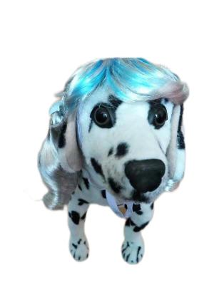 China Wild Zebra Stripe Pet Wig for Dogs and Cats , Unique Eye-Catching for Safari-Themed Parties en venta