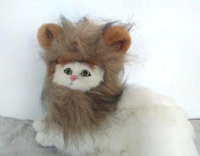 China Adjustable and Breathable Cat Wig Soft Fluffy and Perfect for All Breeds Ideal for Halloween / Cosplay en venta