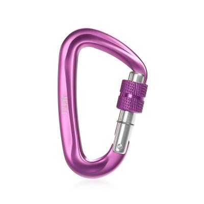 China Small Safety Snap Hook Clip Aluminum Alloy Keychain Locking Carabiner for OEM Approval for sale