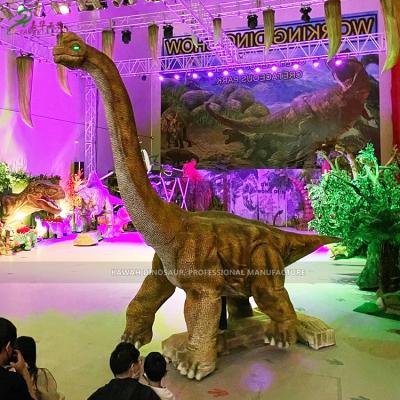 China Walking Animatronic Model Dino Remote Controlled Brachiosaurus Life Size Park Equipment Stage Exhibit Dinosaur for sale