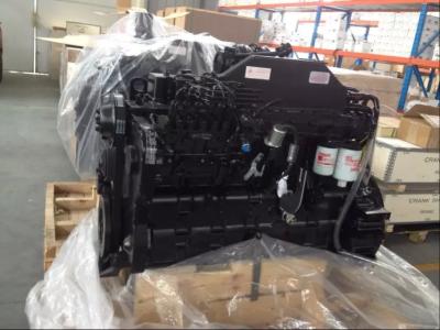 China cummins engine genuine NEW  quality  6CT8.3-C215 for sale