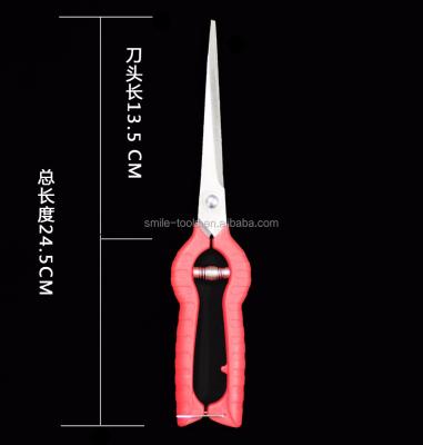 China Grape Garden Tools Pruning Scissors Sharp Hydroponic Shears for sale