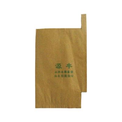 China 2021 hot sale wholesale moisture-proof protective fruit breeding mango bag for sale