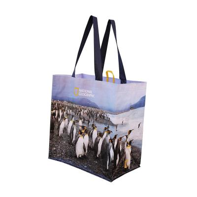 China Marine Body Folding Different Pattern Printed Gift Custom Logo Printing PP Laminated Shopping PP Woven Bag for sale