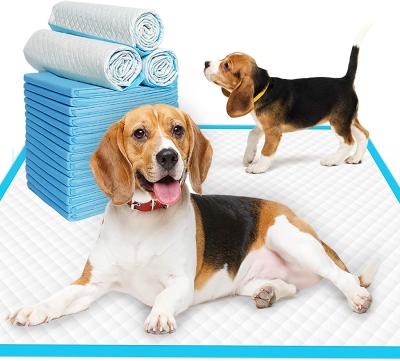 China 2021 viable hot! Factory Direct 6 Ply Disposable Nonwoven Super Absorbent Small Small Dog Pads for sale