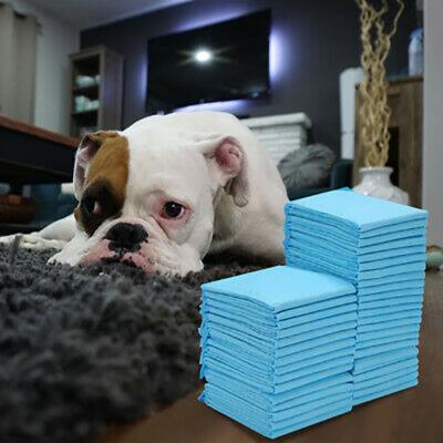 China Viable Disposable Pet Products Potty Pad Training Puppy Absorbent Potty Pee Pads for sale