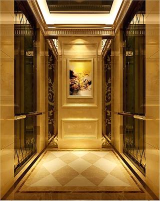 China Passenger Elevators 630 Kg 8 Passenger Elevator Height Hydraulic Price Used For Hotel, Office Building, Apartment, Shopping Malls for sale