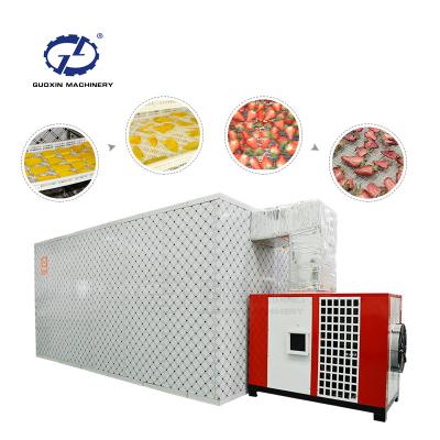 China Guoxin Food Processing Mango/Pineapple/Tomato/Fruit Dryer Machine/Vegetable Dehydrator Heat Pump Dryer Machine for sale