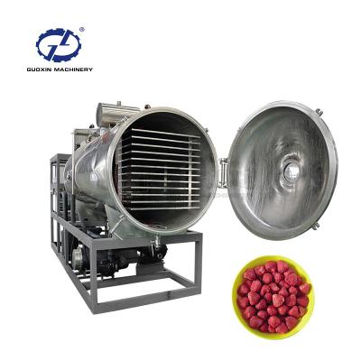 China Guoxin Vegetable and Fruit Drying Equipment Drying Machine Energy Saving Freeze Fish Drying Machine for sale