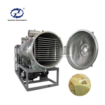 China Guoxin fruit and vegetable drying machine / dehydrator / freeze drying energy saving equipment for sale