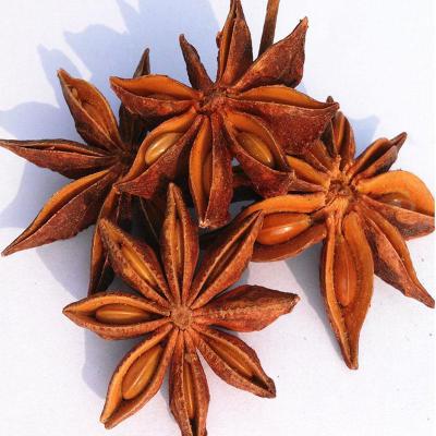 China Dry Spices Wholesale Supplier Dried Star Anise / Star Anise for sale