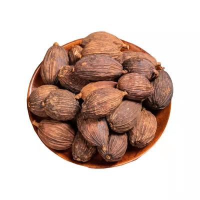 China Amomum Black Knockout Tsao Dried High Quality Cardamom Stock In Bulk for sale