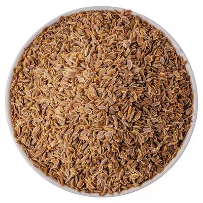 China Dry Huaou Spices Dried Dill Seeds by Murraya Paniculata Supply for Spices (Whatsapp: +8619894318705) for sale