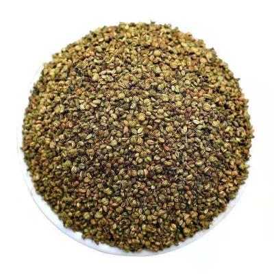 China Wholesale Dried Dill Seed Spices for sale