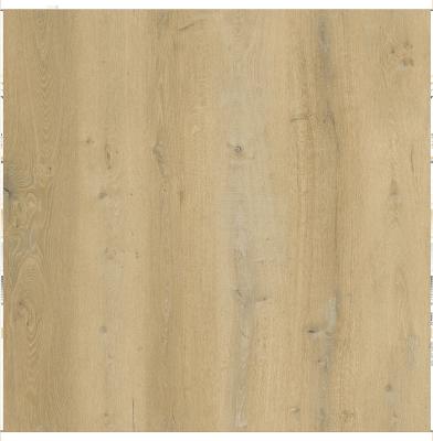 China 70g /80g/85g self adhesive good quality melamine paper for furniture TM03-90006 VIENNA OAK for sale