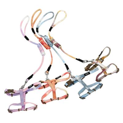 China Lightweight Dog Shaped Stocked Cat Chest Strap Leash Harness Rope Hoopet I Shade New Arrival for sale