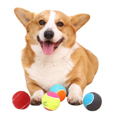 China Best Factory Price Hoopet 2inch 2.5inch Rebound Height Interactive Bite Stocked Resistant Dog Toy Ball for sale