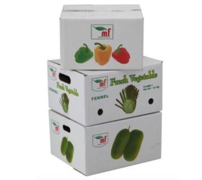 China Corrugated Vegetables Packing Boxes For Fruit Shipping ISO9001 Certification for sale