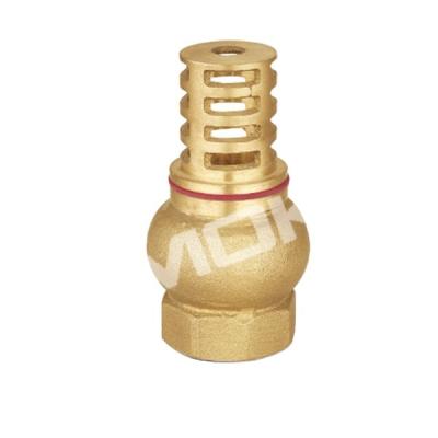 China Spring Coil High Quality Brass Valve Strainer Female Thread Brass Hydraulic Suction Valve for sale