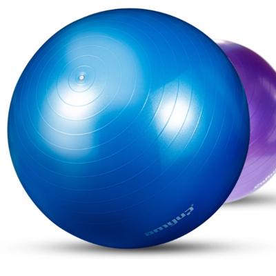 China Anti-shatter And Durable Eco-friendly Gym Fitness Balance Trainer 65cm PVC Yoga Ball for sale