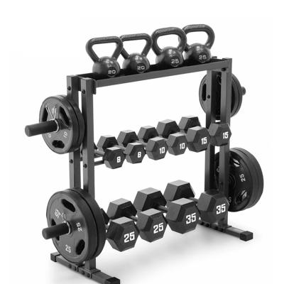 China Small Footprint Dumbbell Rack Fitness Board Bracket Fitness Equipment Weightlifting Storage Rack for sale