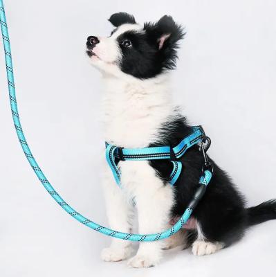 China Viable Multicolor Fashion and Durable Dog Walker Nylon Adjustable Reflective Pet Harness and Leash for sale