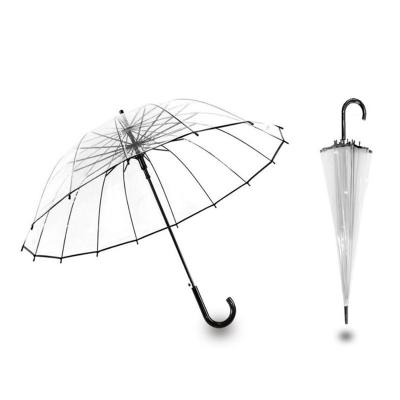 China Factory price traditional 16 ribs 23 inch open transparent umbrella clear straight umbrella with custom logo for Alibaba and for Amazon for sale